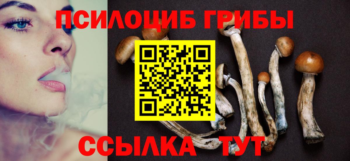 Псилоцибиновые грибы Cubensis  Вход с VPN  Прокопьевск 